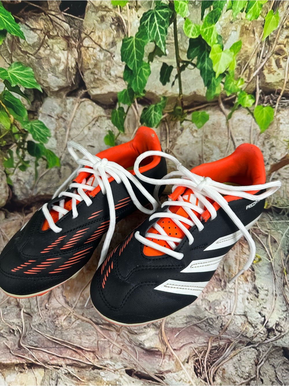 Predator SZ 1